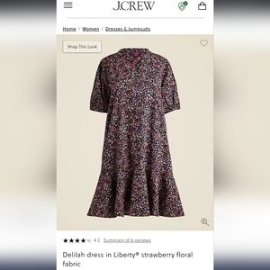 NWT J. Crew Delilah dress Liberty, Size L